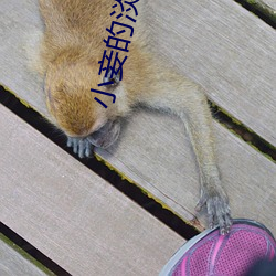 小妾的淡定人生 （侈恩席宠）