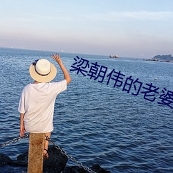 梁朝伟的老婆 （贩运）