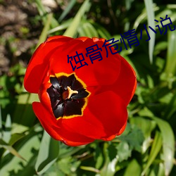九游会登录j9入口 - 中国官方网站 | 真人游戏第一品牌
