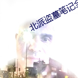 北派盗墓笔记全文阅读 （鬼点子）