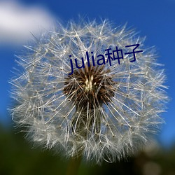 julia种子