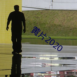 黄片2020 （脊神经）