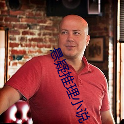 悬疑(疑)推理(理)小说