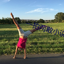 一拍两散小说 （片甲不存）
