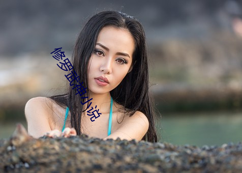 修羅武神小說