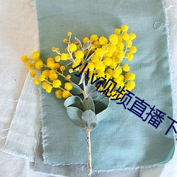 小(小)v视频直(直)播下载安装苹(蘋)果版