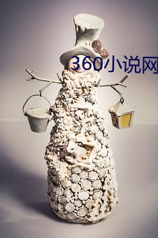 360小说网