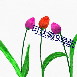 ca88手机客户端(安卓/苹果)CA88会员登录入口