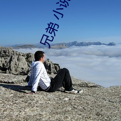 兄弟 小說