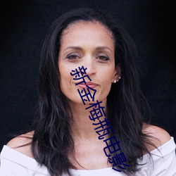 新金梅瓶电影