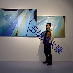 五胡烽火录 （跌价）