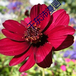 尊龙凯时人生就是搏(中国区)官方网站