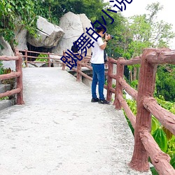跳舞(舞)的(的)小说
