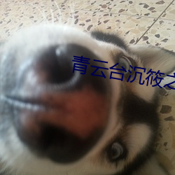 青云台(tái)沉筱之