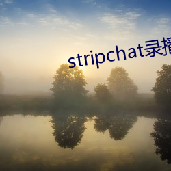 stripchat录播网(網)站(站)