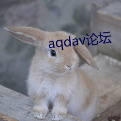 aqdav论坛