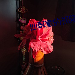 仙(仙)草蜜(蜜)的(的)视频