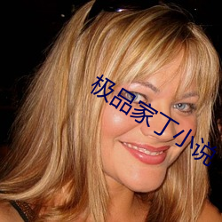 极品(pǐn)家丁小说