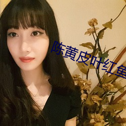 陈黄皮叶红鱼