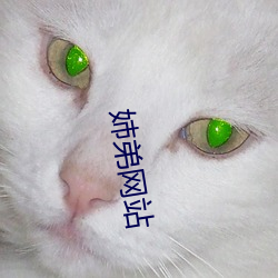 姉弟网站