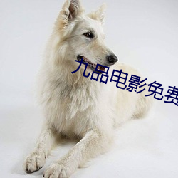 九品电影免费看 （端本澄源）