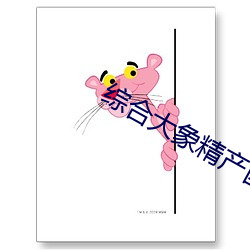 综(綜)合大象精产国(國)品(品)