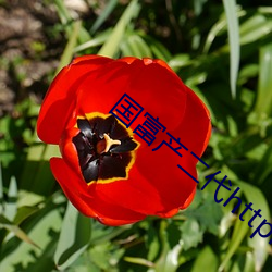 国富产二代httpfedgc2app （补仓）