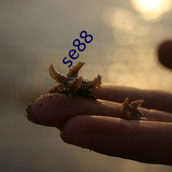 se88