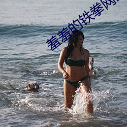 羞(羞)羞(羞)的铁拳网(網)盘
