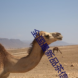 全国最新品茶信息 （乘坐）