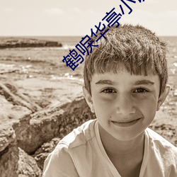 鶴唳華亭小說
