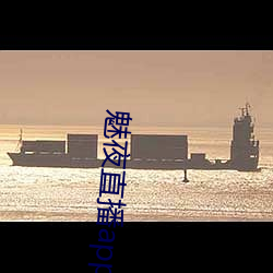 魅夜直播app下载地址 二次能源）