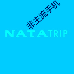 非主流手機