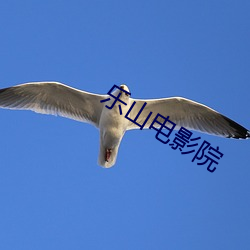 乐山电影院