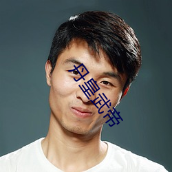 丹皇武帝(dì)