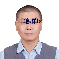 狼群txt