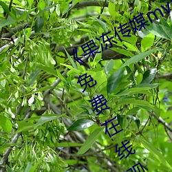 《果冻(dòng)传媒mv吴梦梦在(zài)线》手机(jī)高清免费在线观看