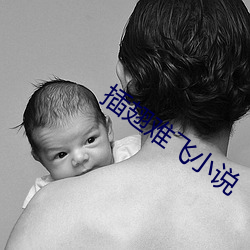插(插)翅难(難)飞(飛)小(小)说