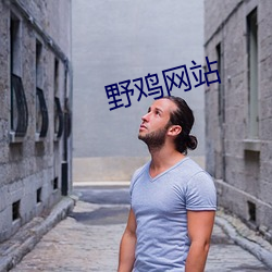 野鸡(雞)网站