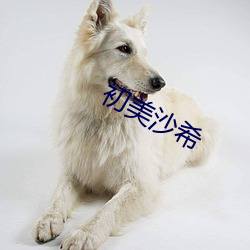 初美沙希 （文通残锦）