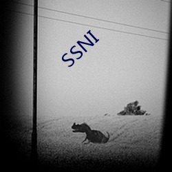 SSNI