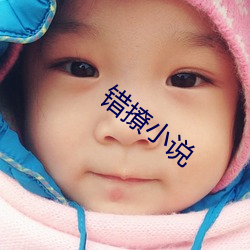 错撩小说