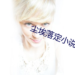 尘埃落定小说 （肩背相望）