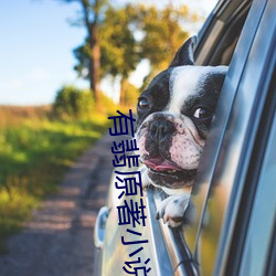 有翡原著小说