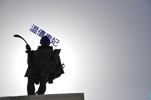温(溫)僖贵(貴)妃(妃)