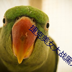 捷克美女大戰黑人巨