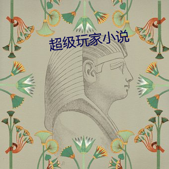 超级玩家小说