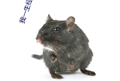 我一生经历三千主角