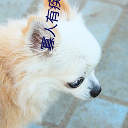 寡人有疾