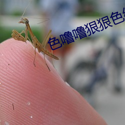 色噜噜狠狠色綜合AV